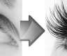 Wimpernverlängerung/Verdichtung